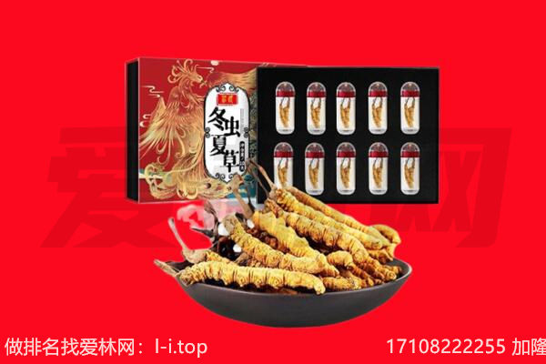 东丽区回收虫草.jpg